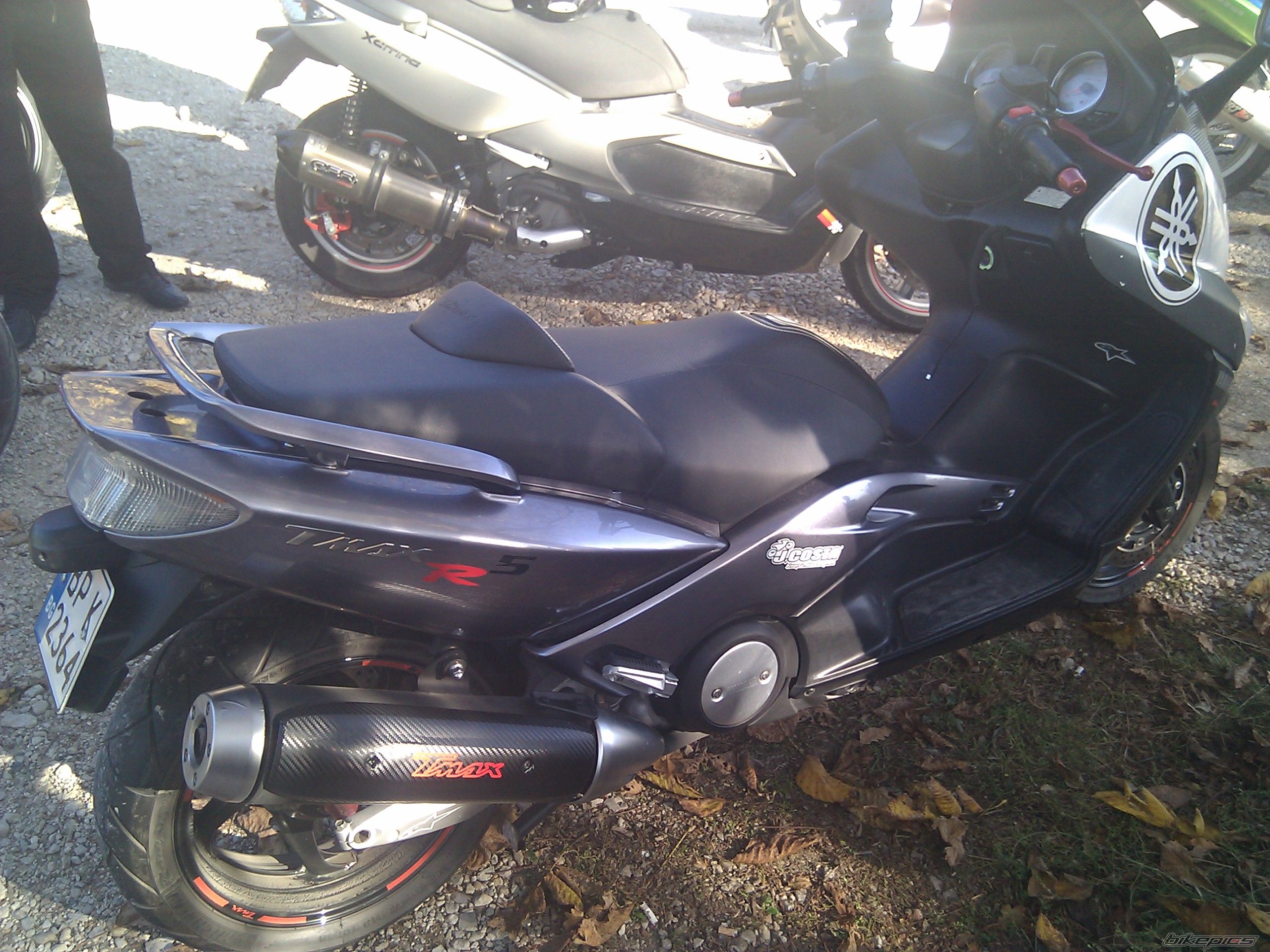 Photo 2483281