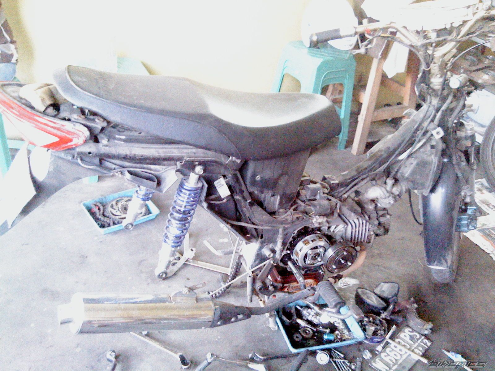 Photo 2483305