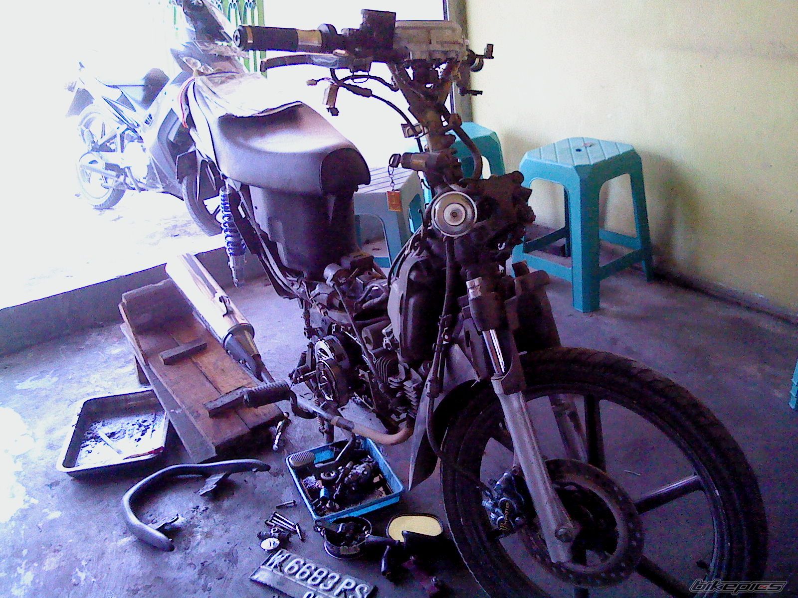 Photo 2483306