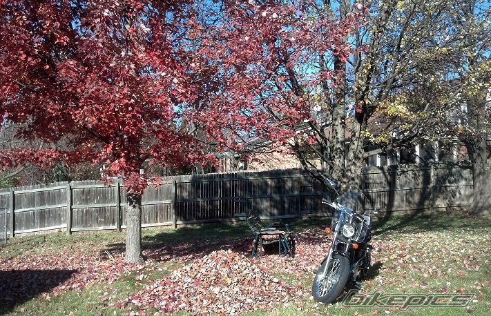 Photo 2483407