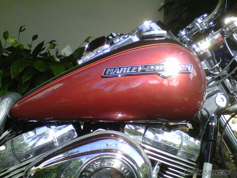 Photo 2483538