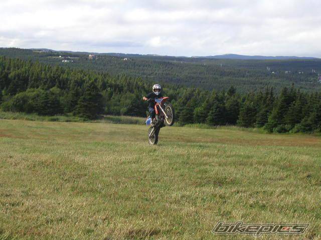 Photo 248359