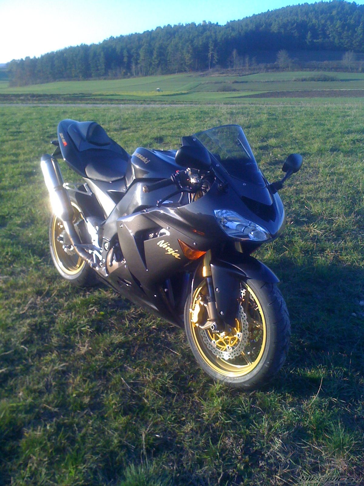 Photo 2483610