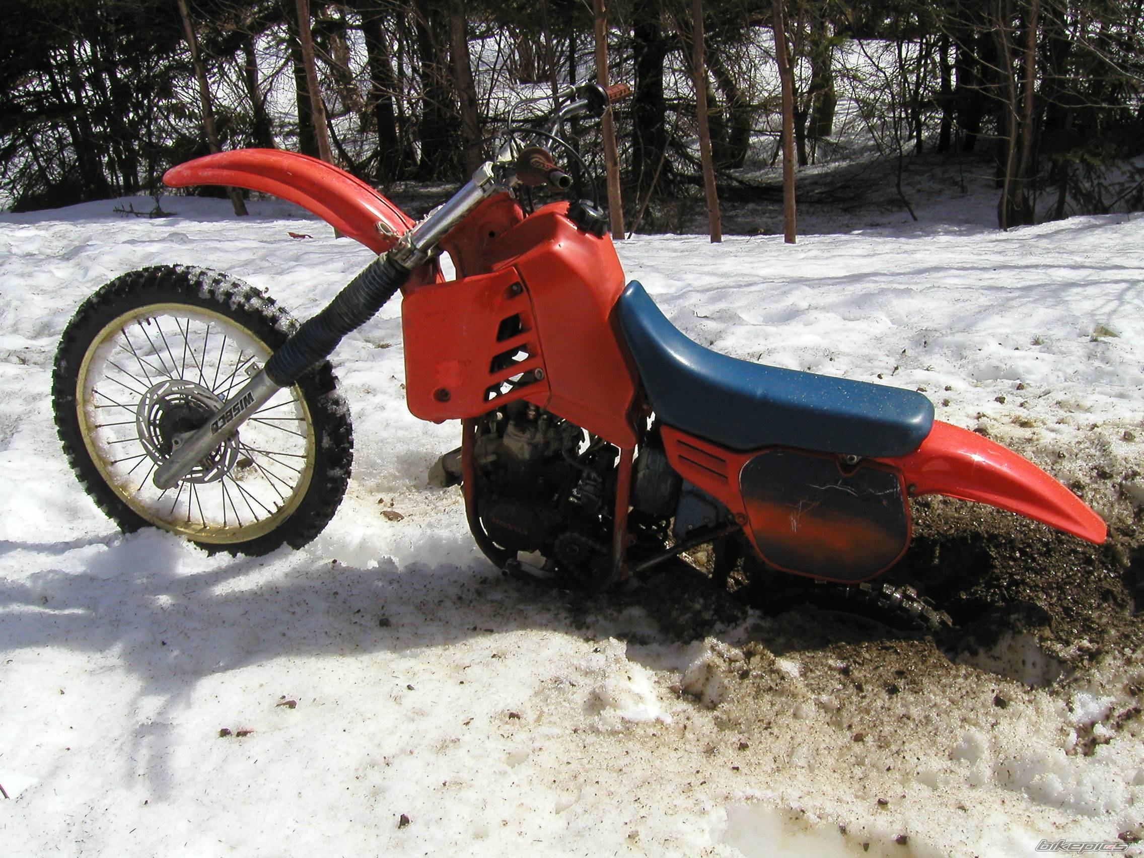 Photo 248371