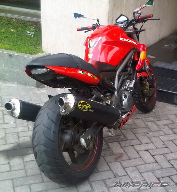 Photo 2483799