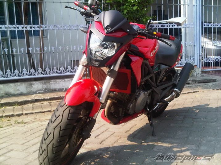 Photo 2483800
