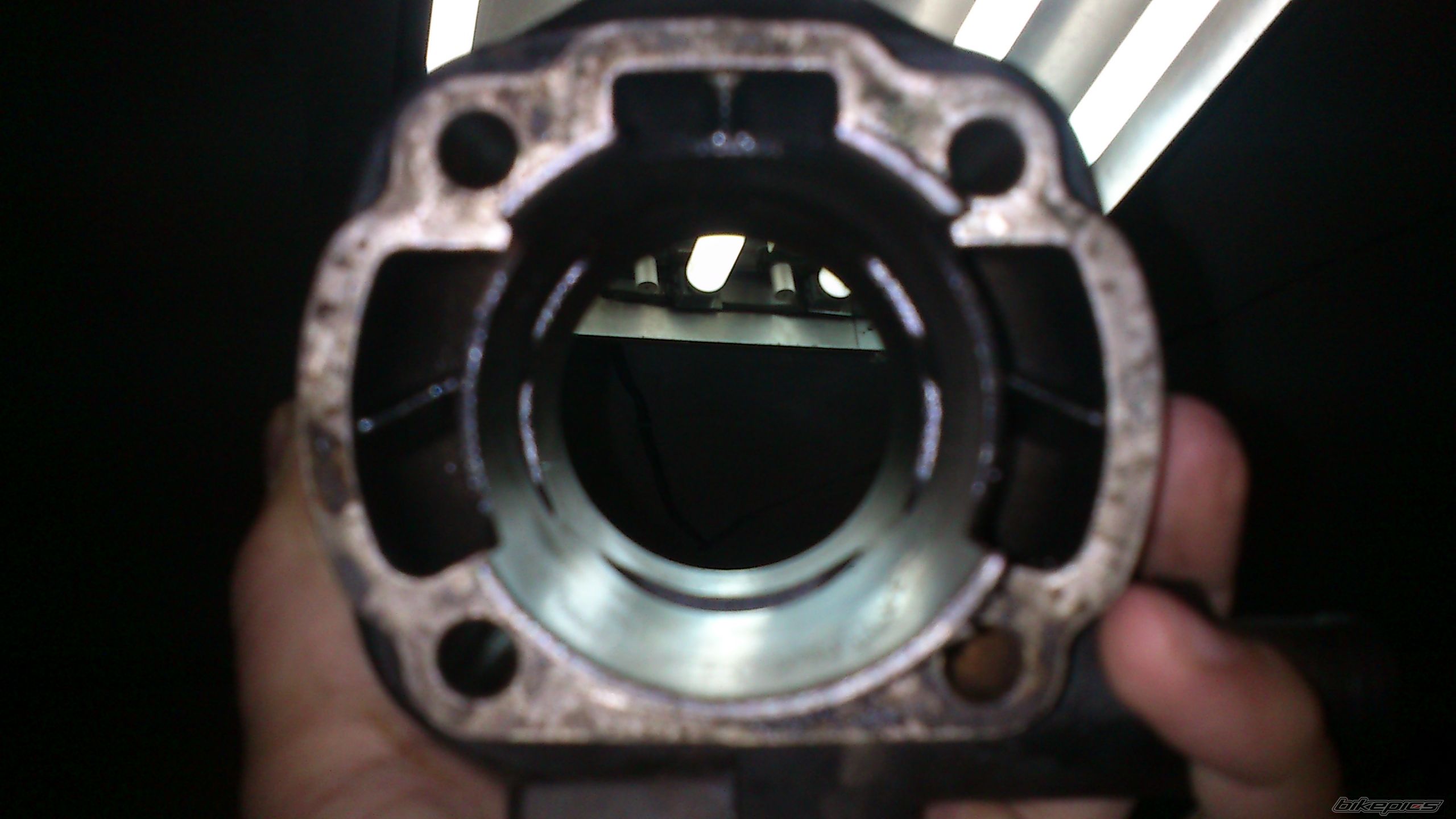 Photo 2483812