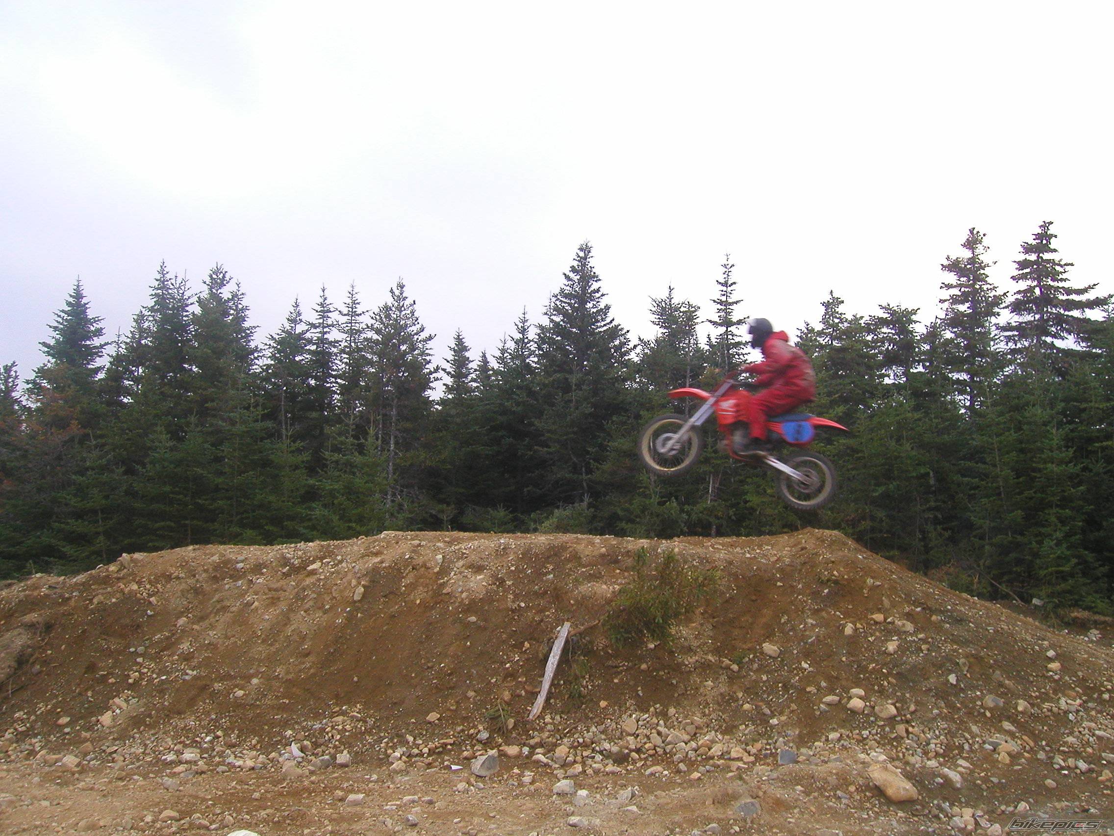 Photo 248382
