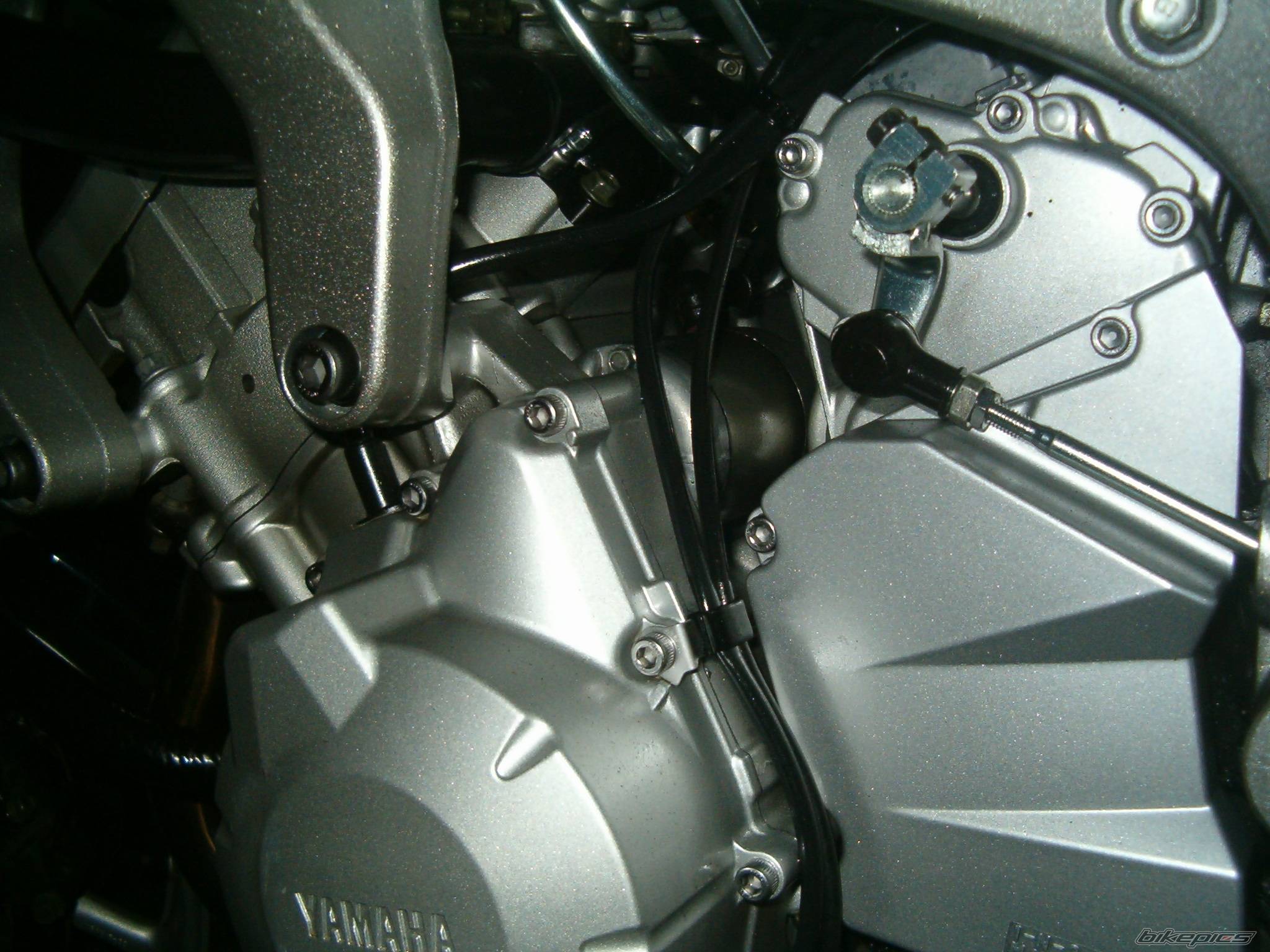Bike Photo 248383