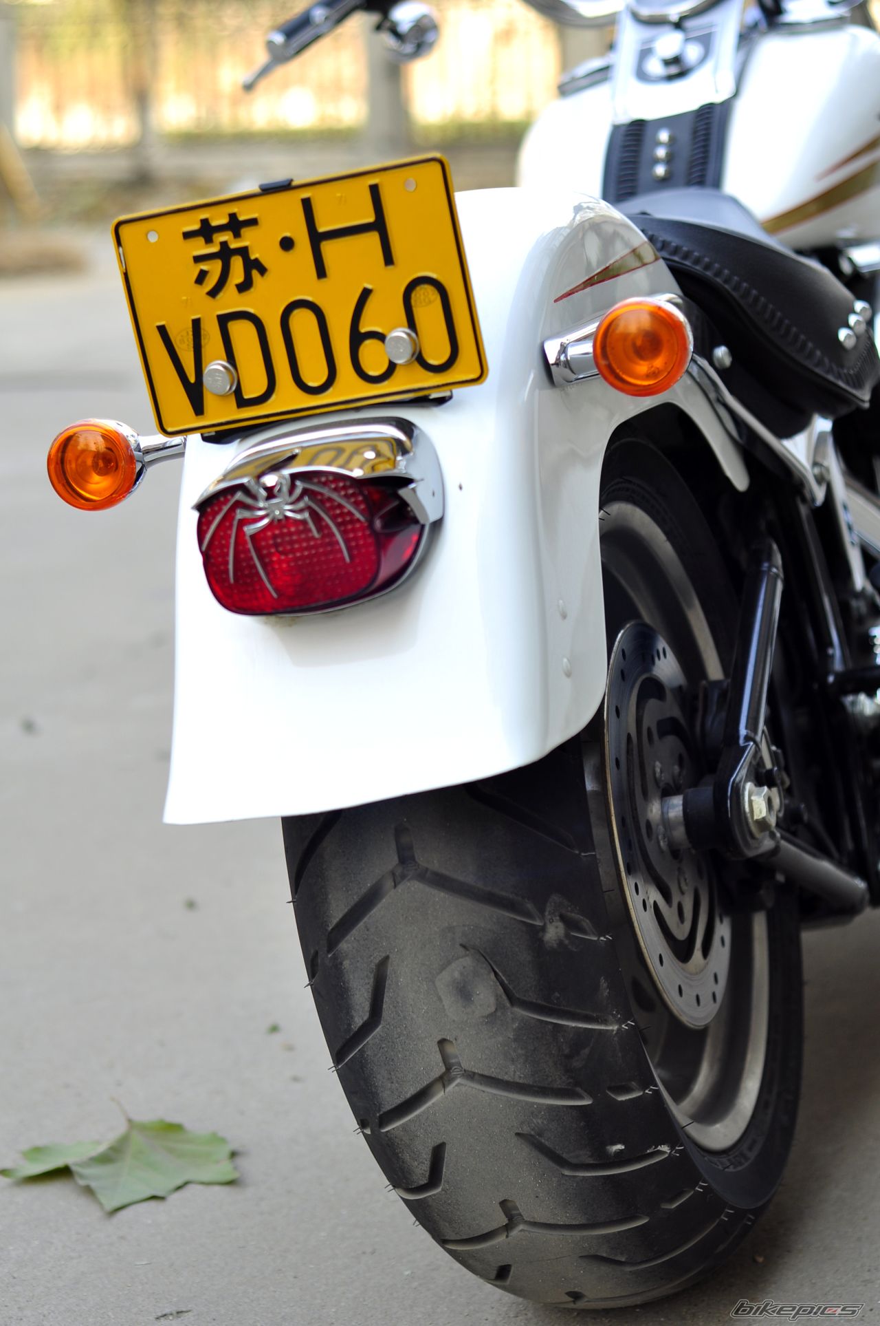 Photo 2483837