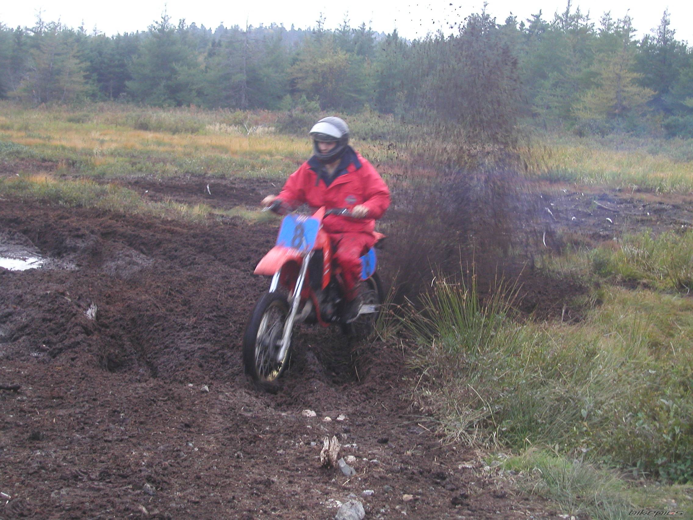 Photo 248385