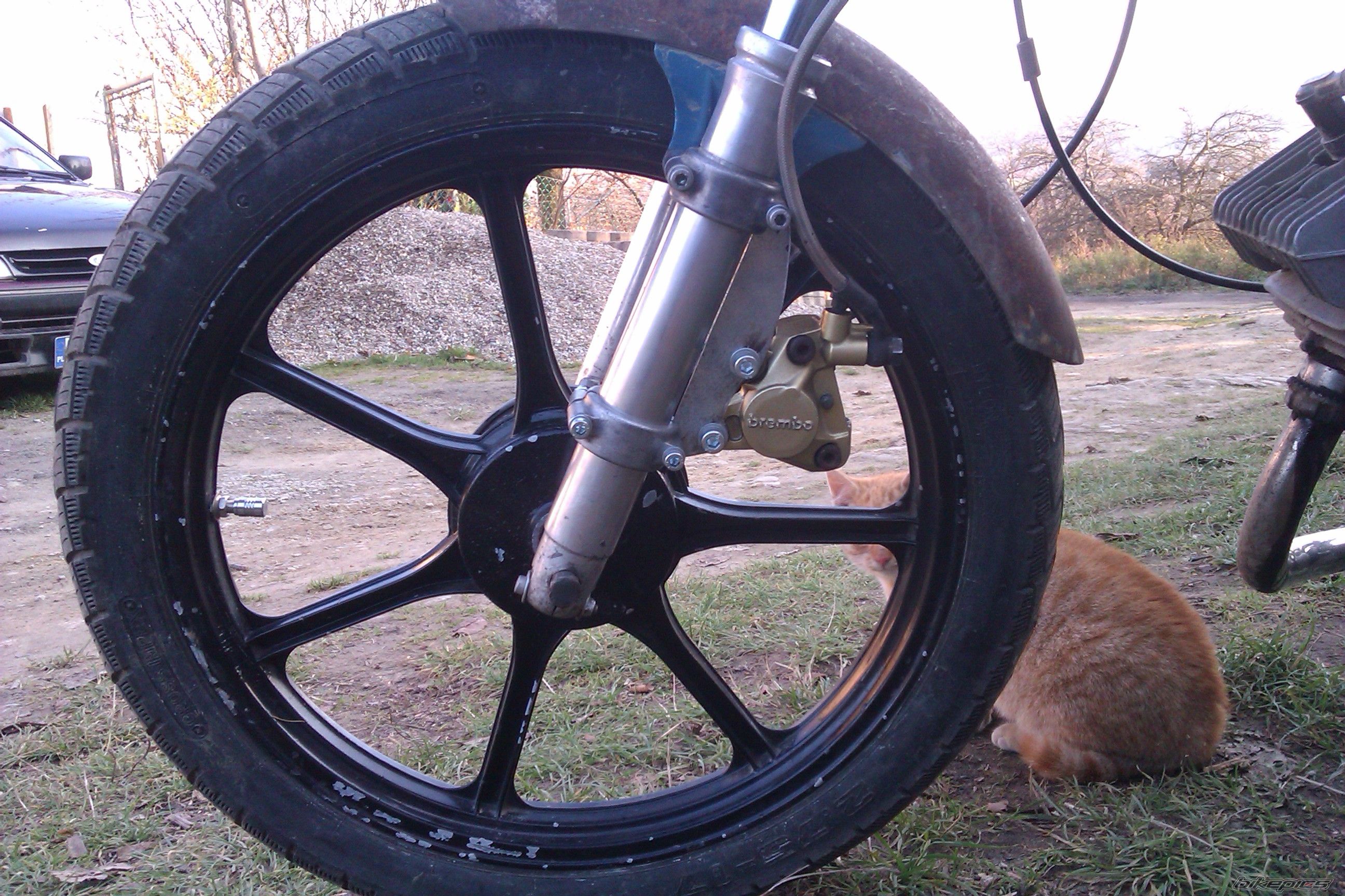 Bike Photo 2483950