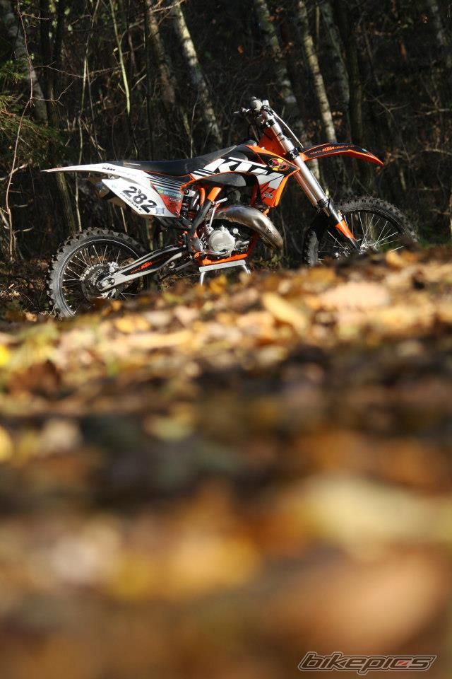 Photo 2483984