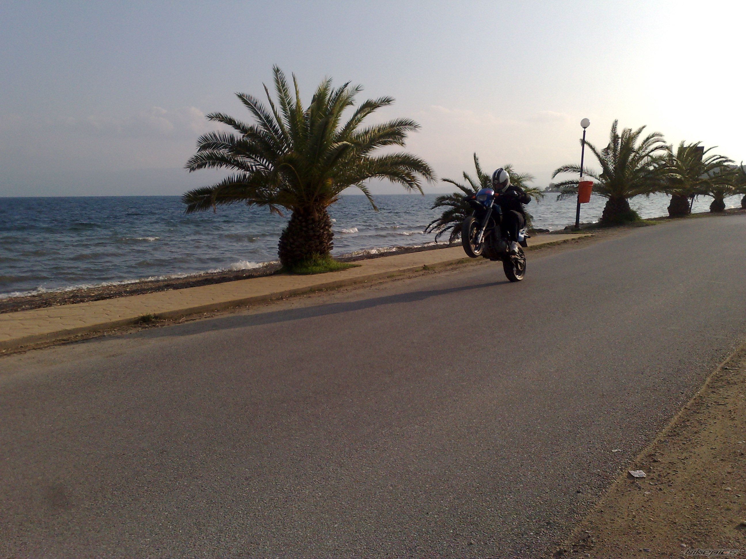 Photo 2483987