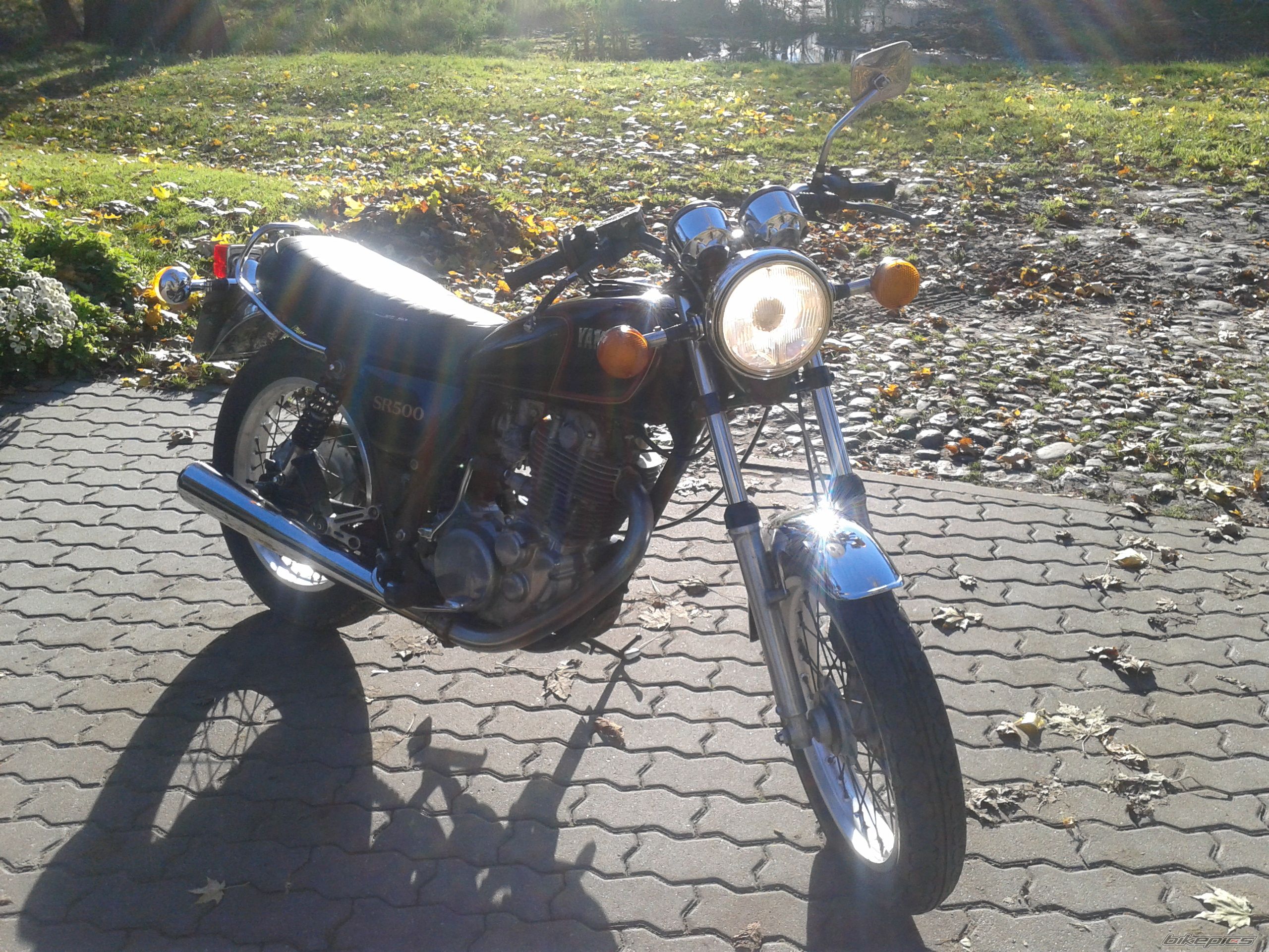 Photo 2483992