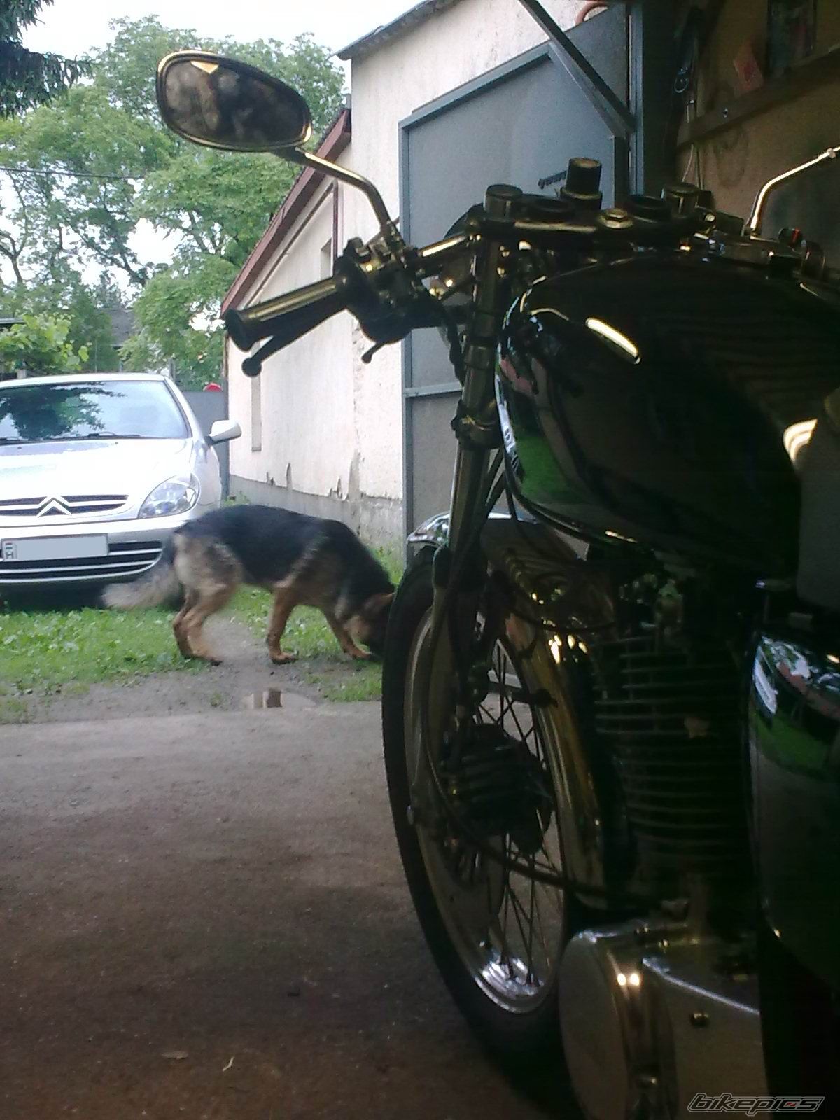 Photo 2484007