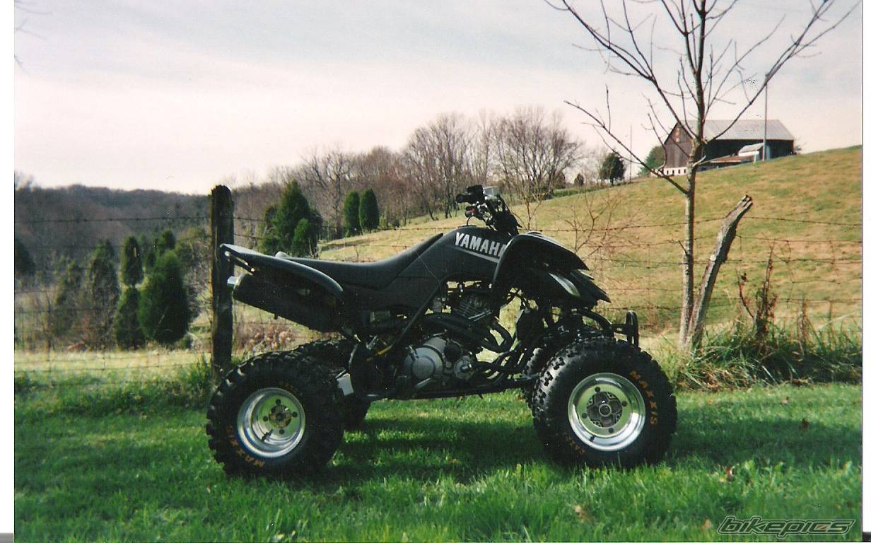 Photo 248404