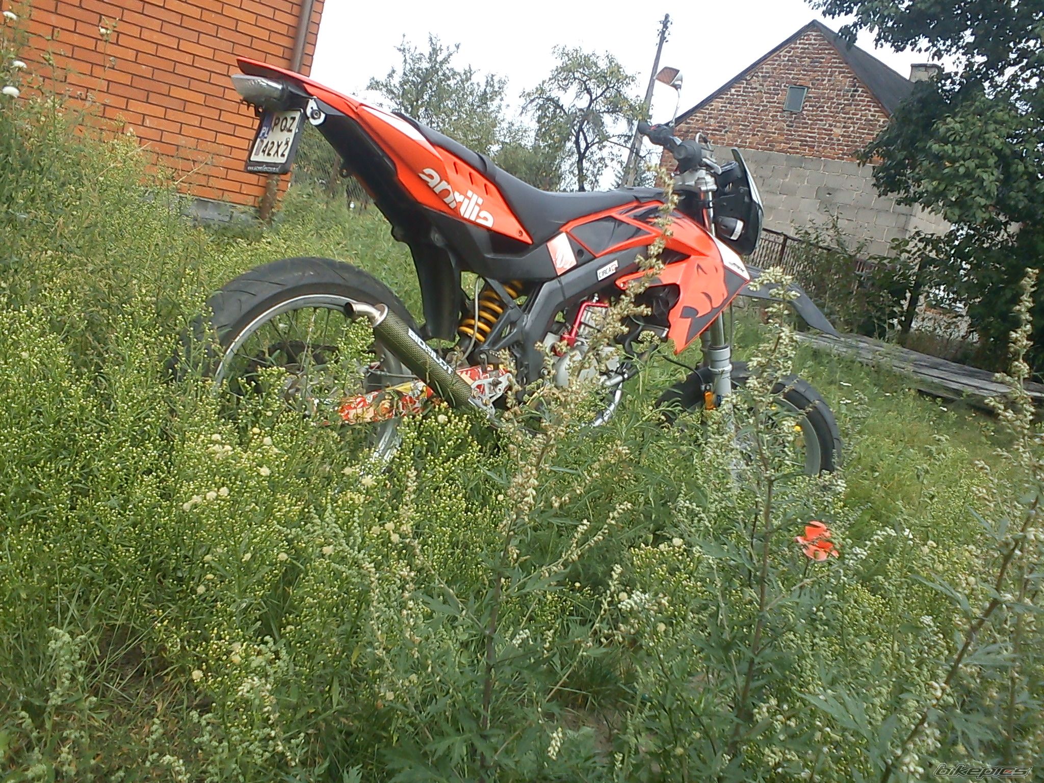 Photo 2484222