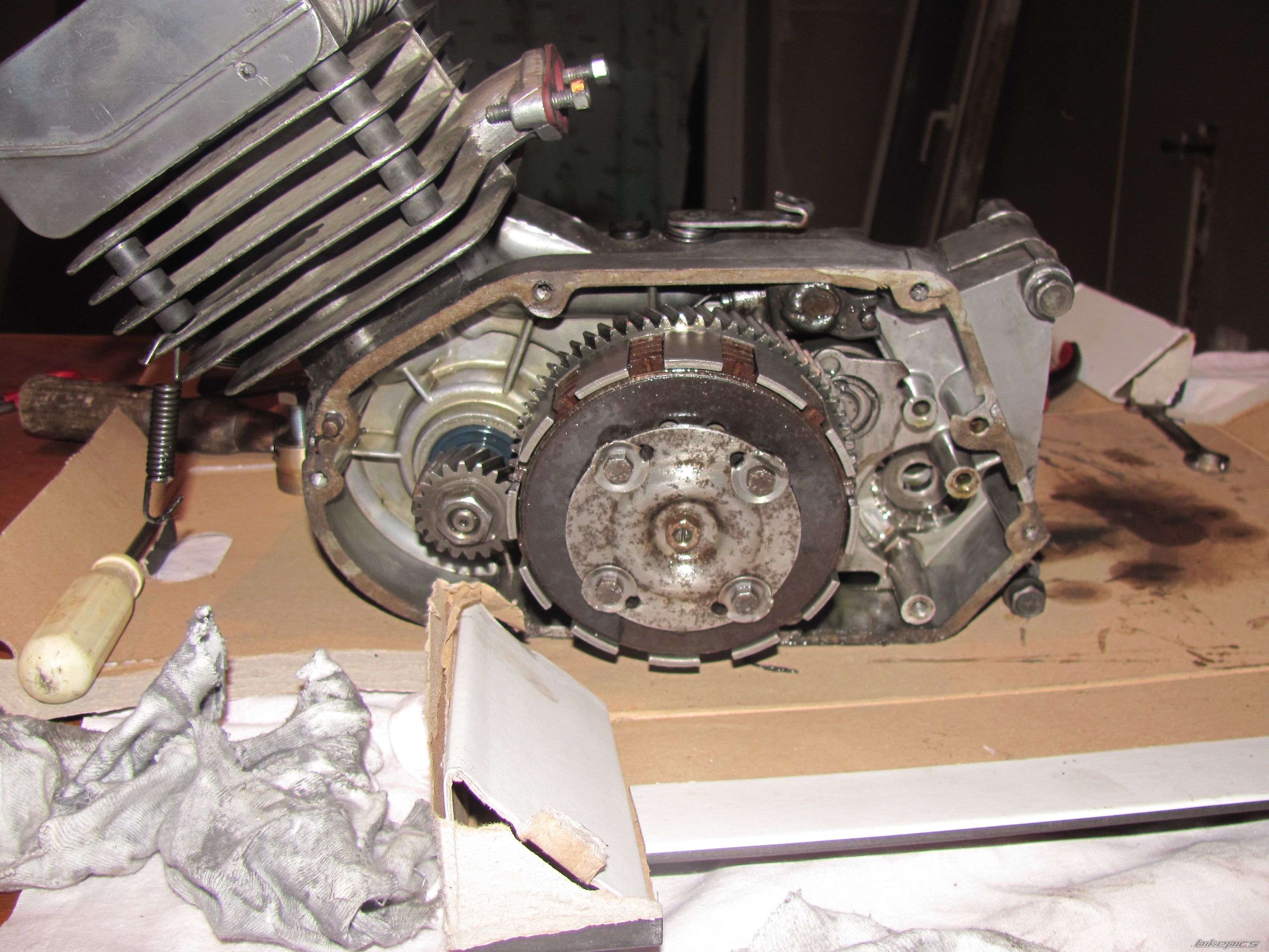 Photo 2484228