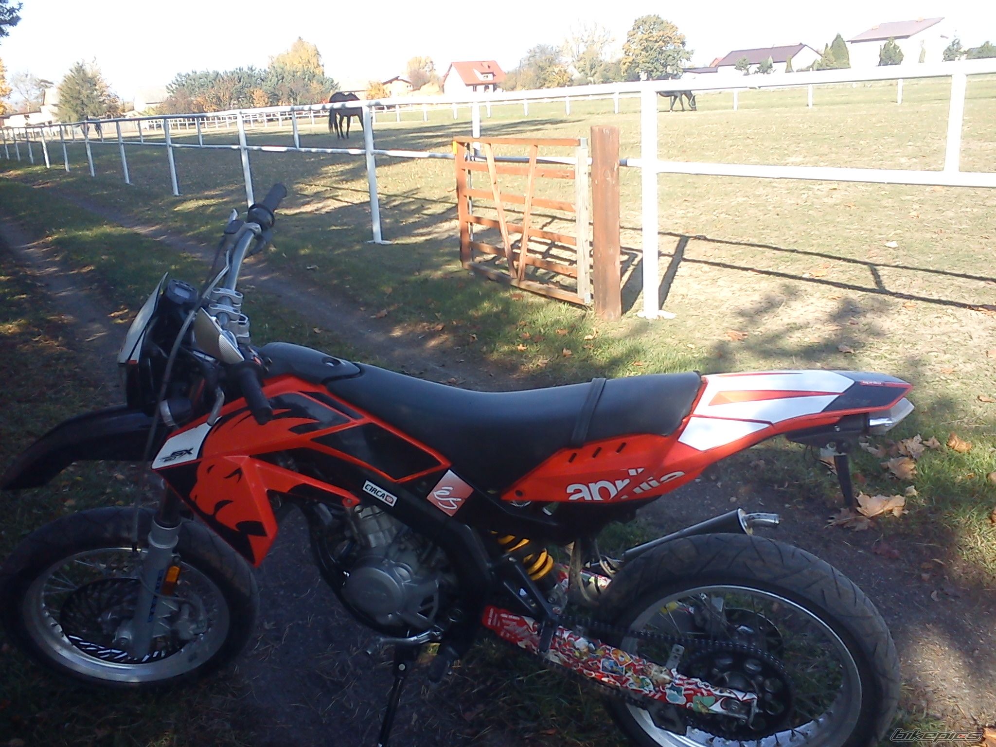 Bike Photo 2484286