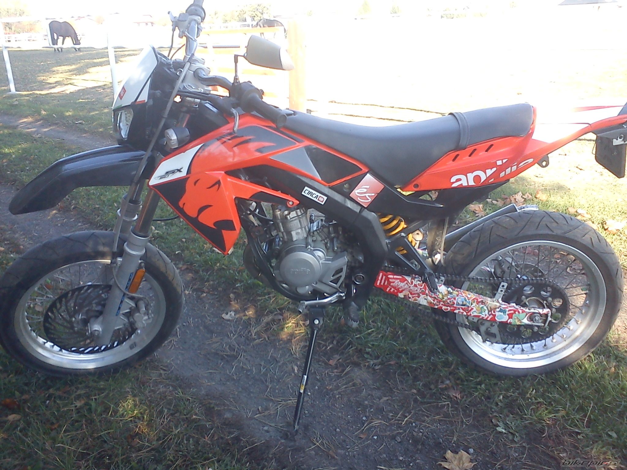 Photo 2484289