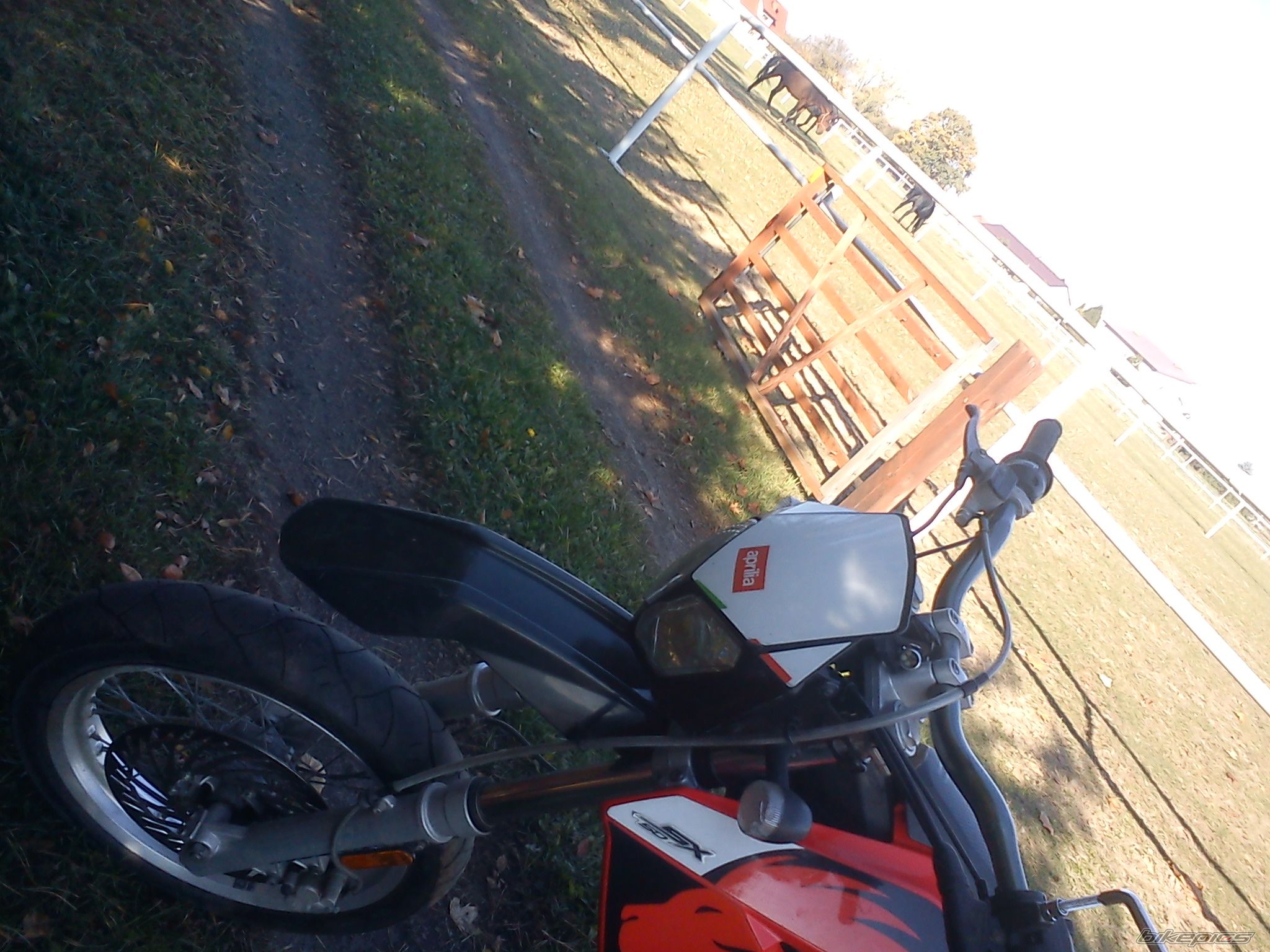 Photo 2484296