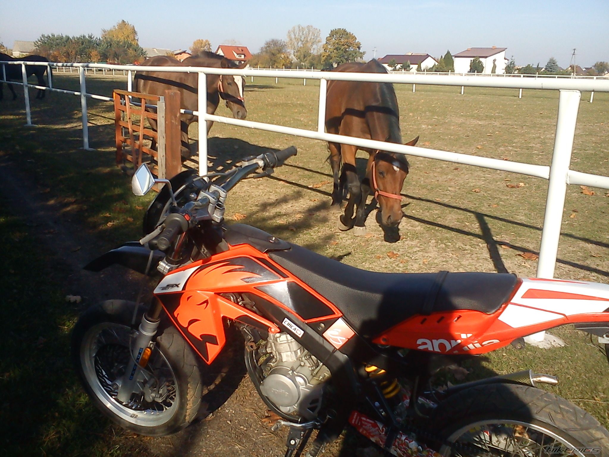 Photo 2484298