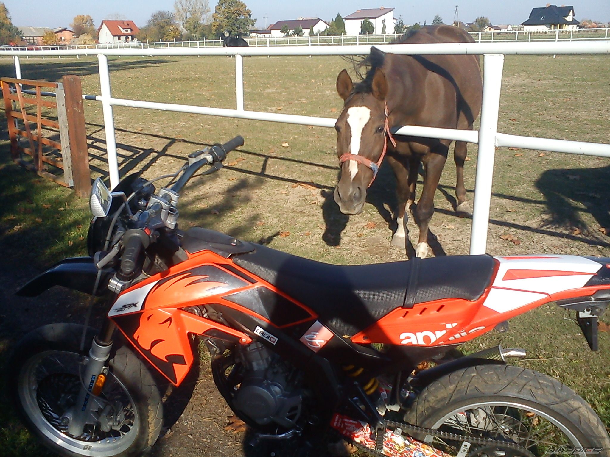 Bike Photo 2484300