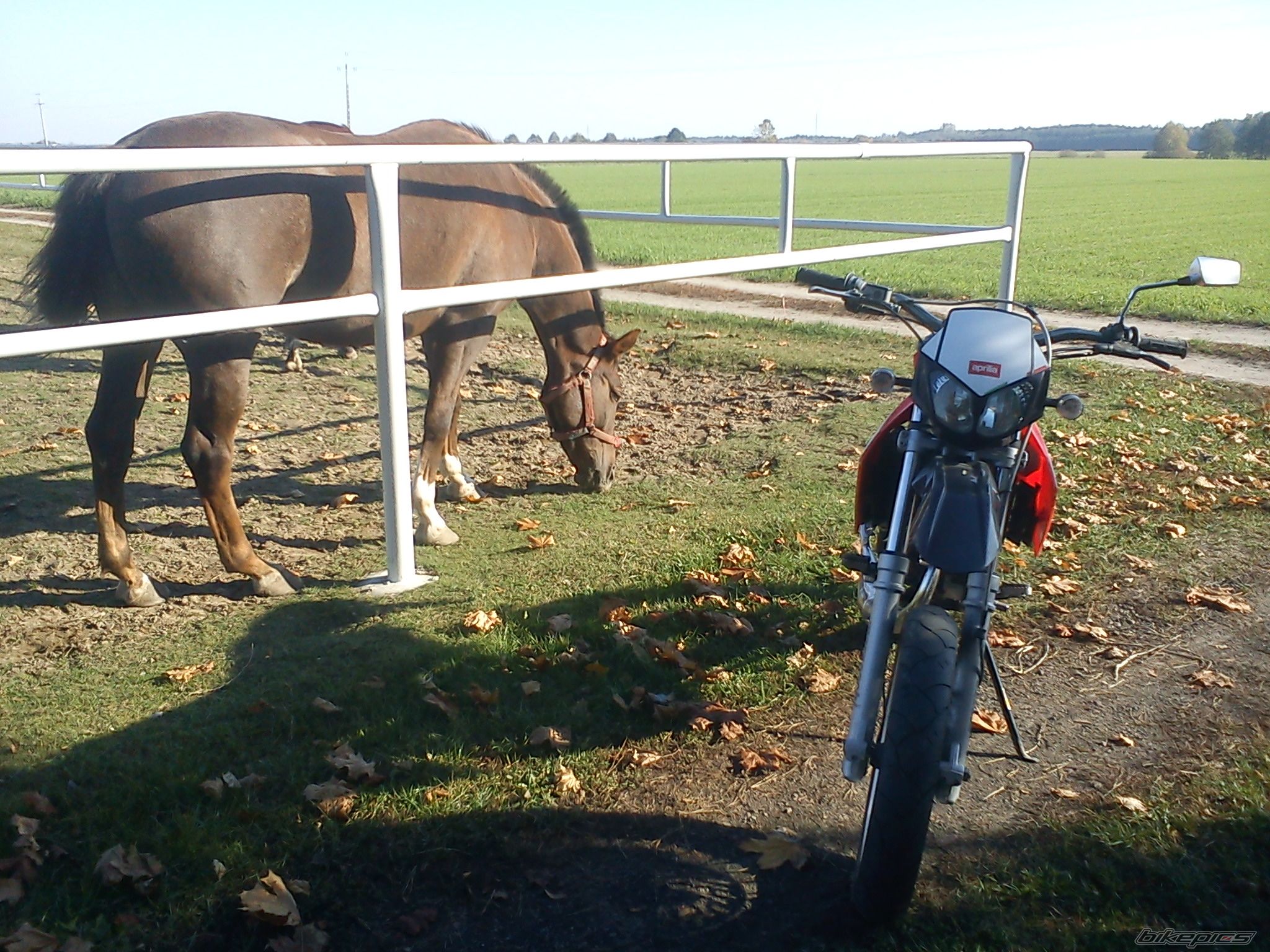 Photo 2484305