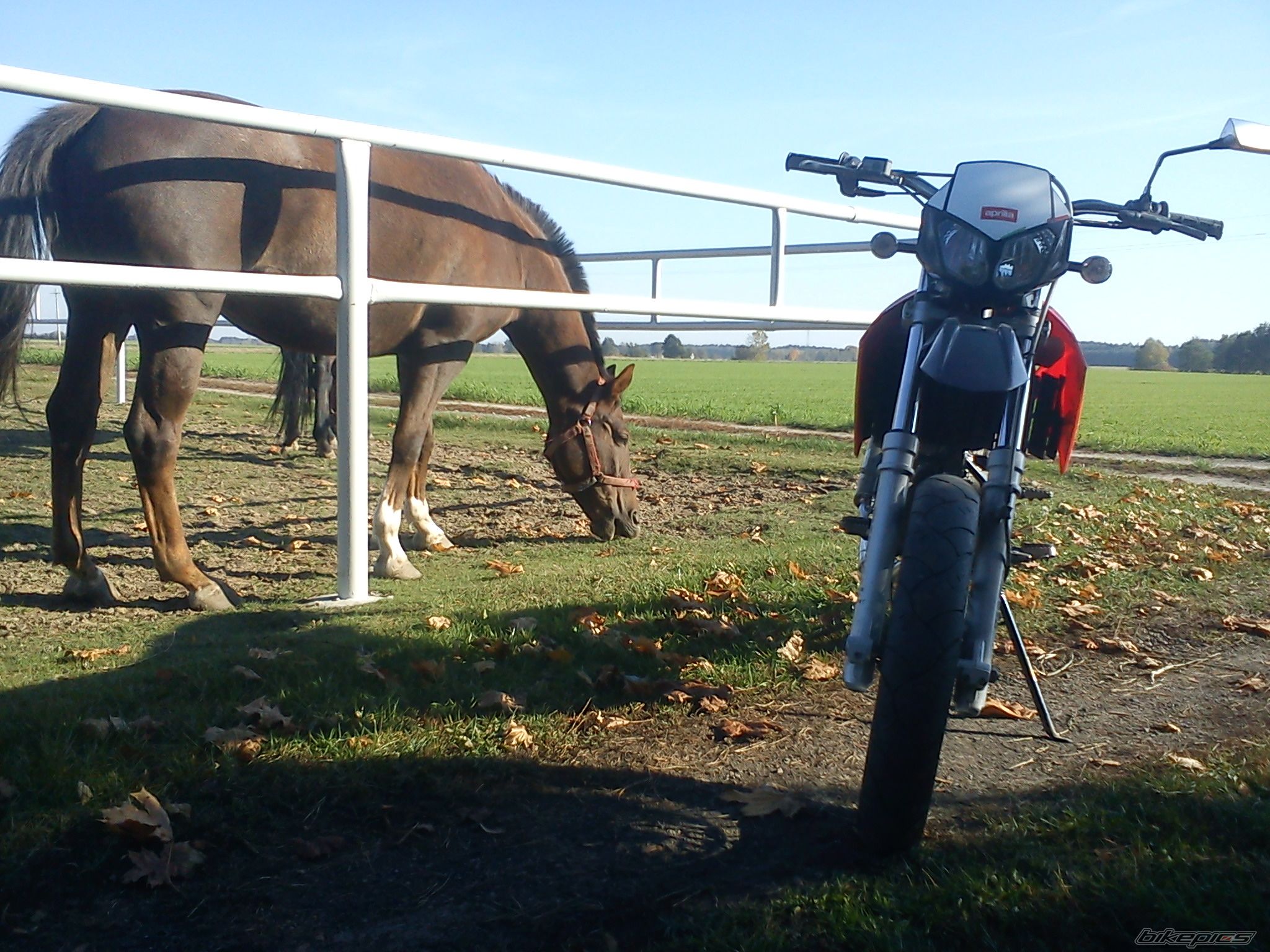 Photo 2484306