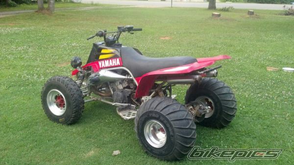Photo 2484340