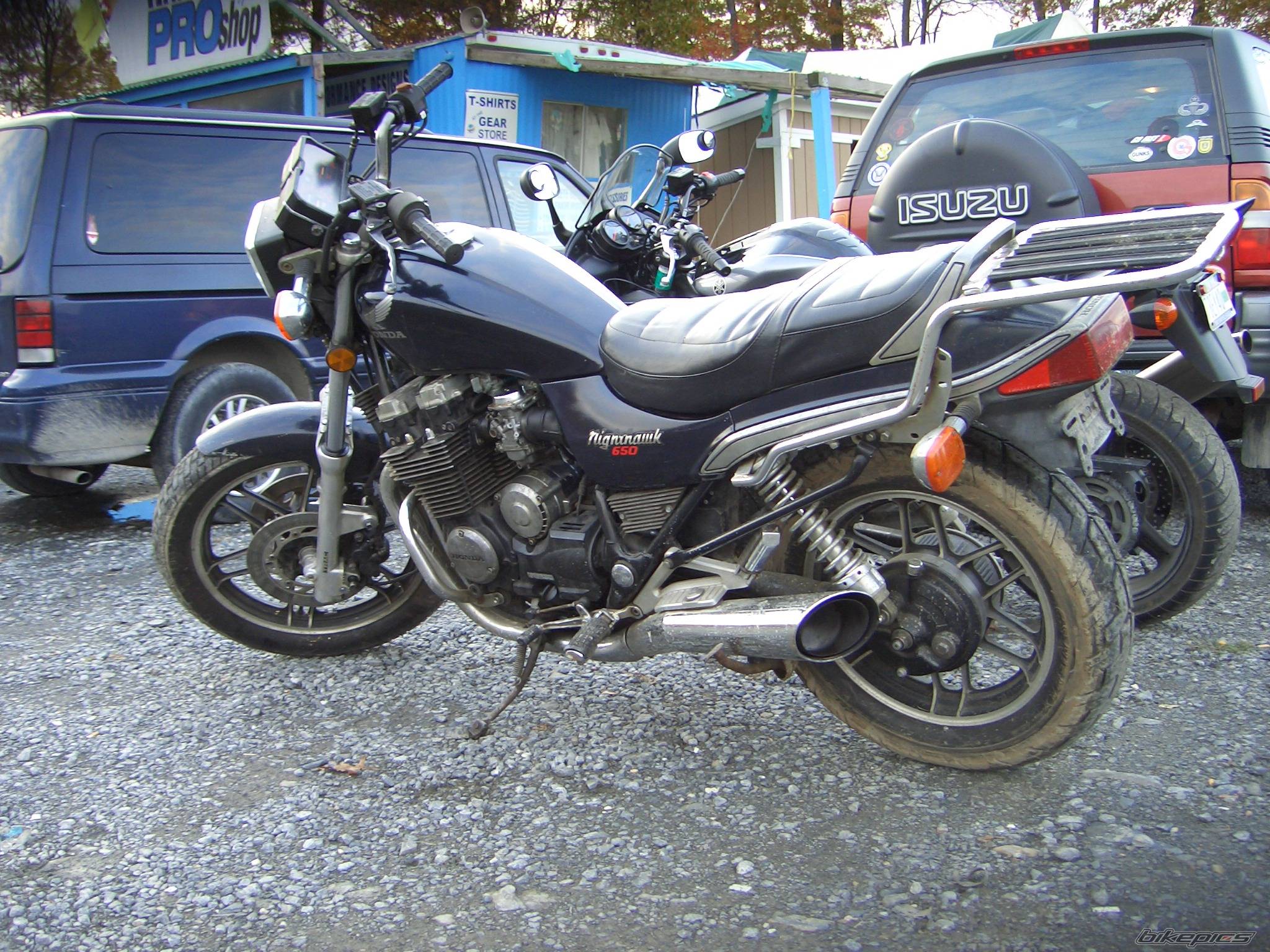 Photo 248436