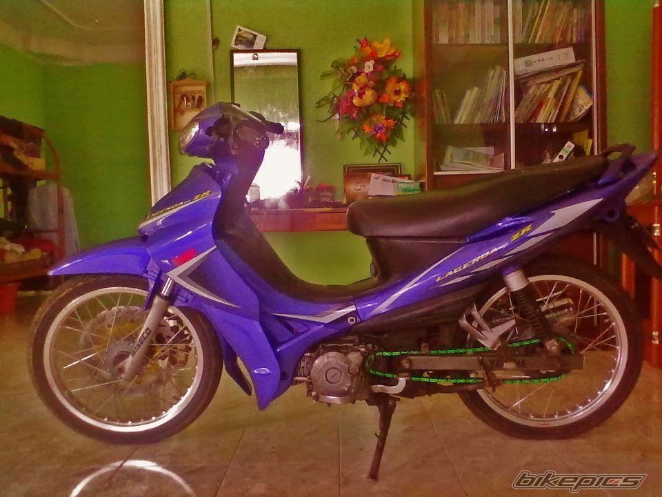 Photo 2484364