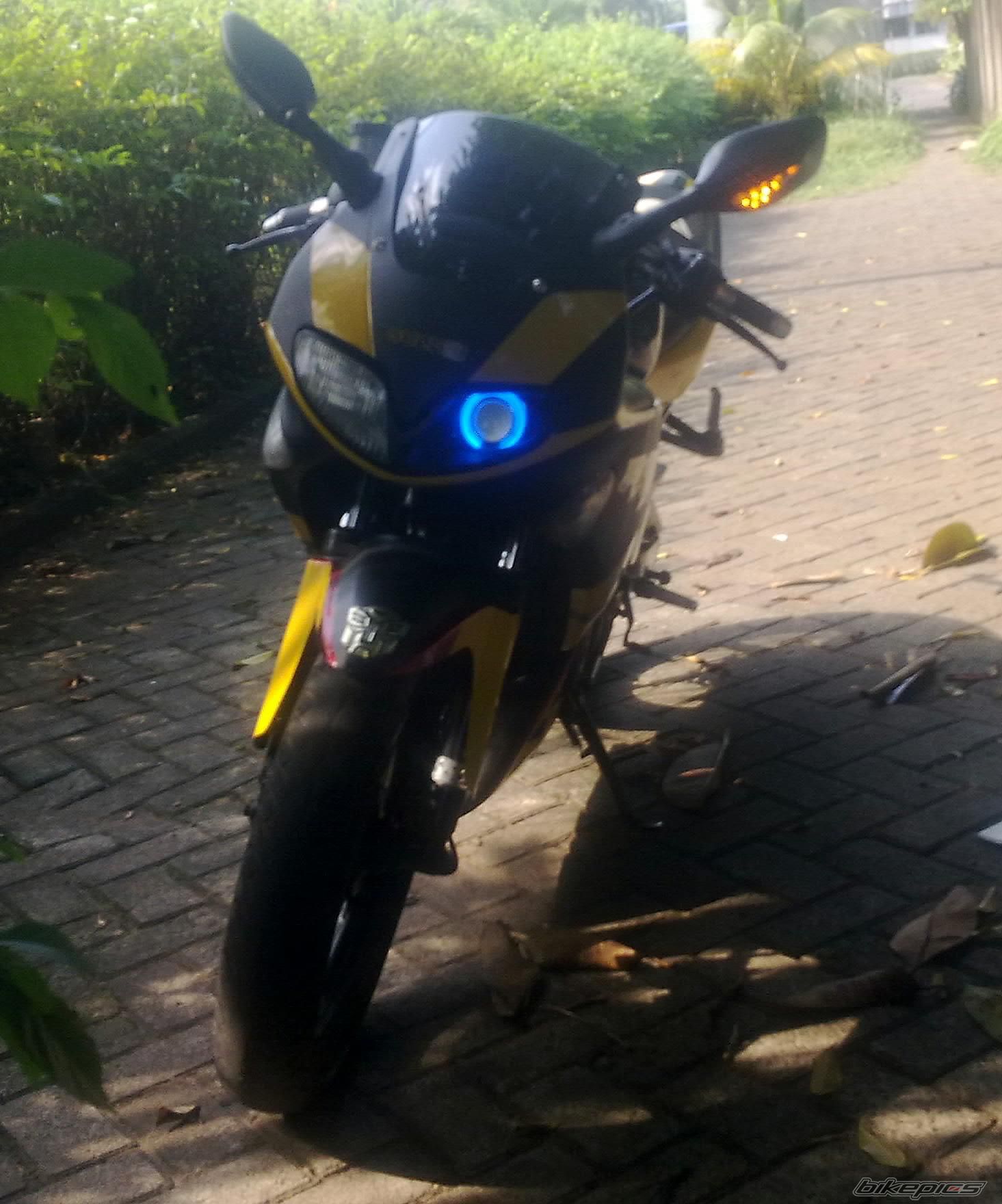 Photo 2484374