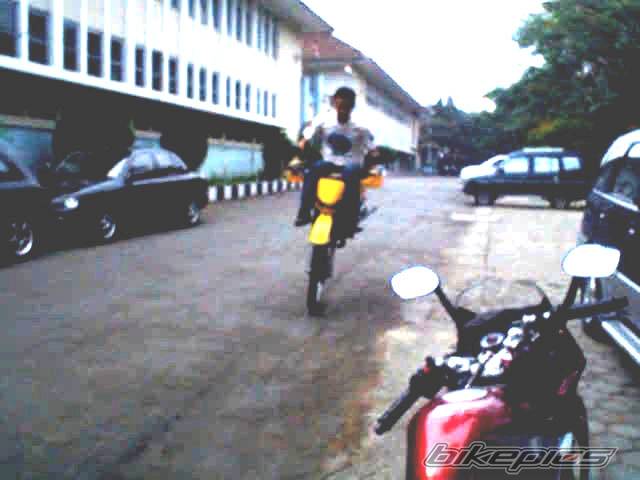 Photo 248442