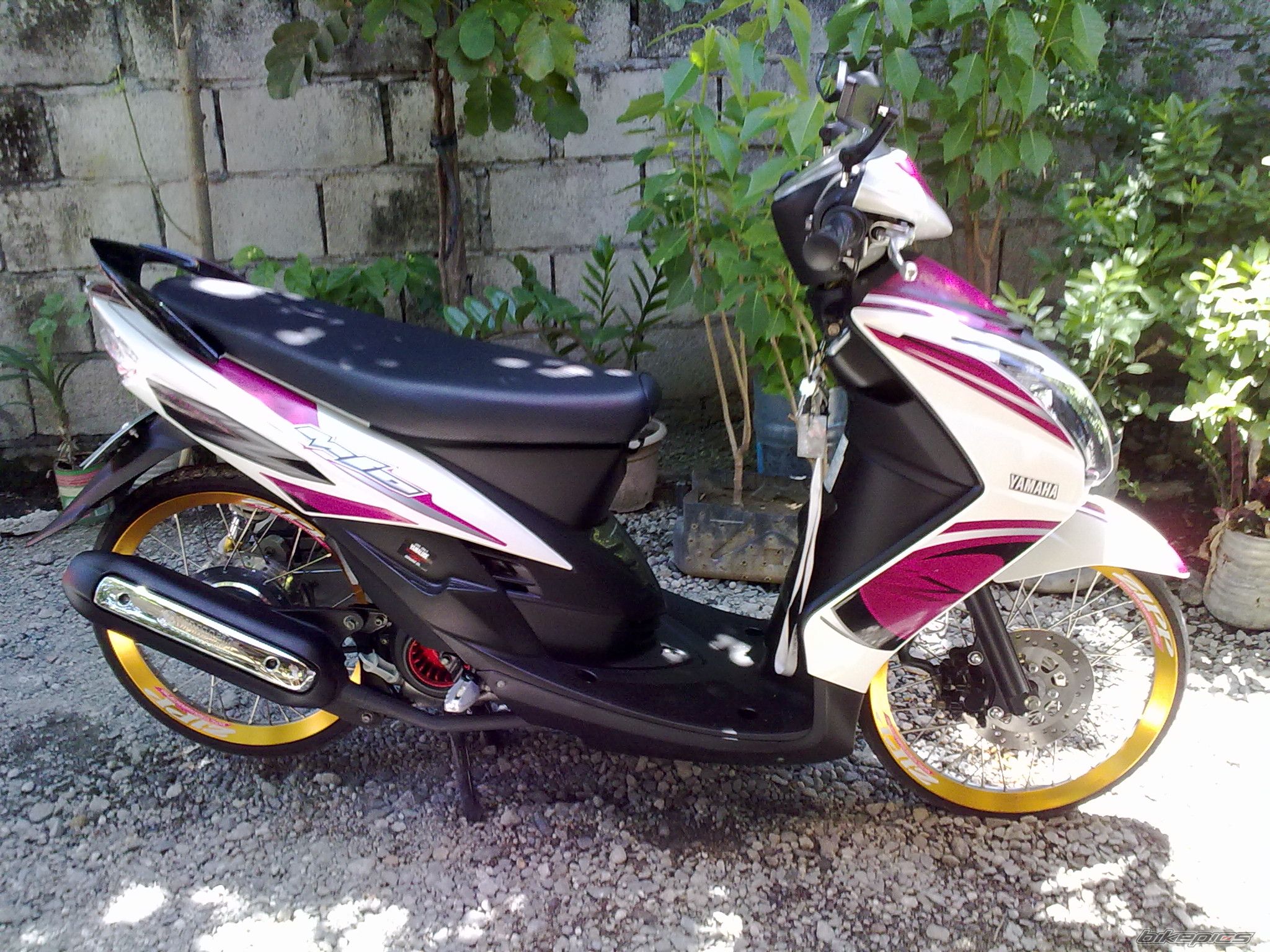 Photo 2484536