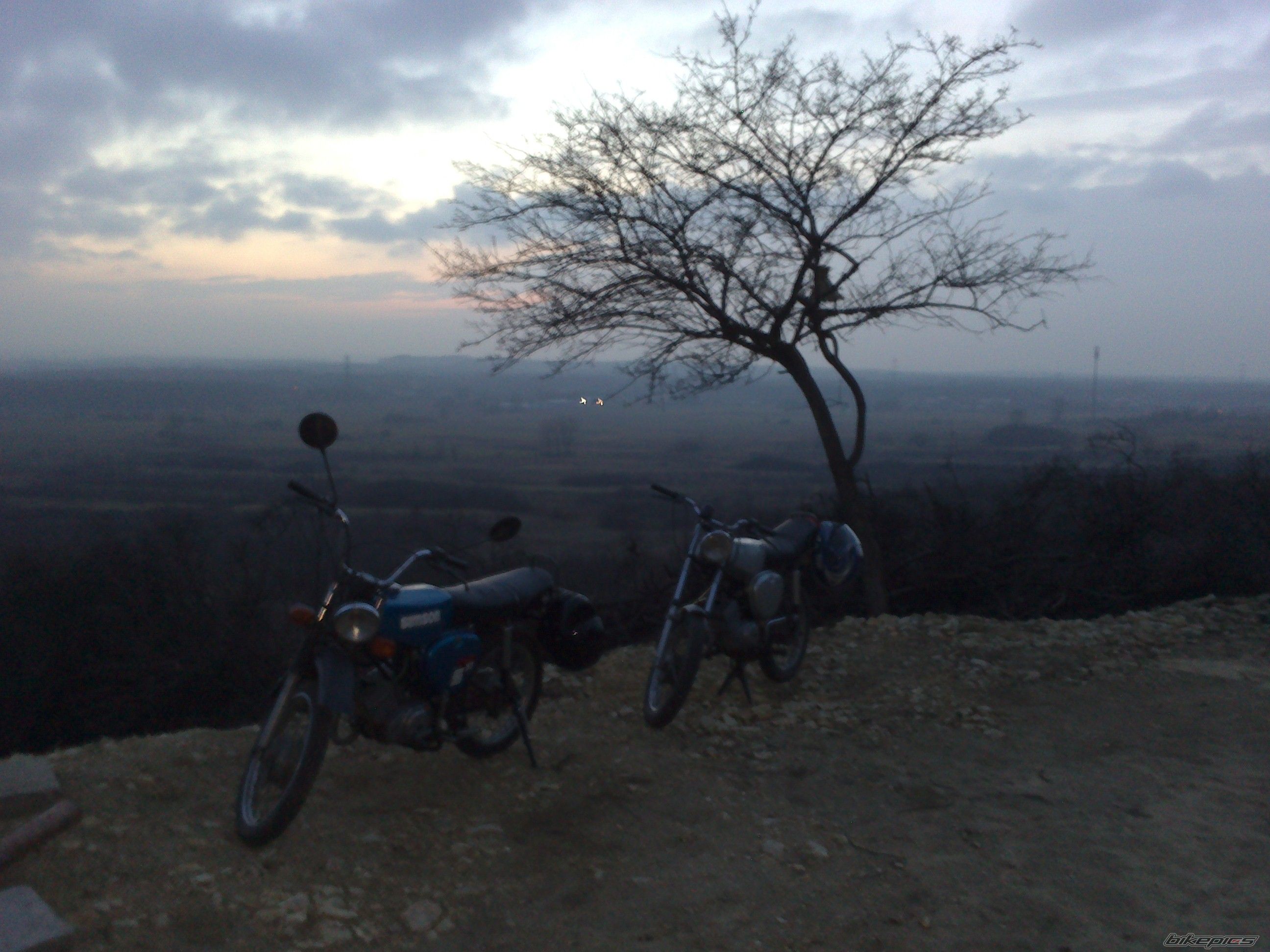 Photo 2484553