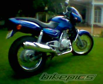 Photo 248458