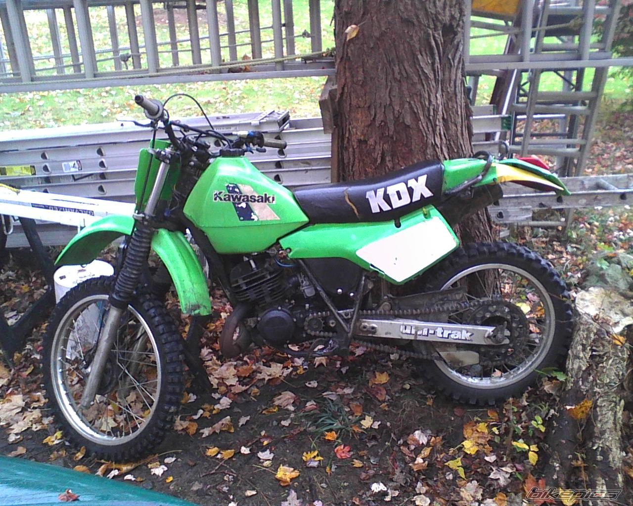 Photo 2484594