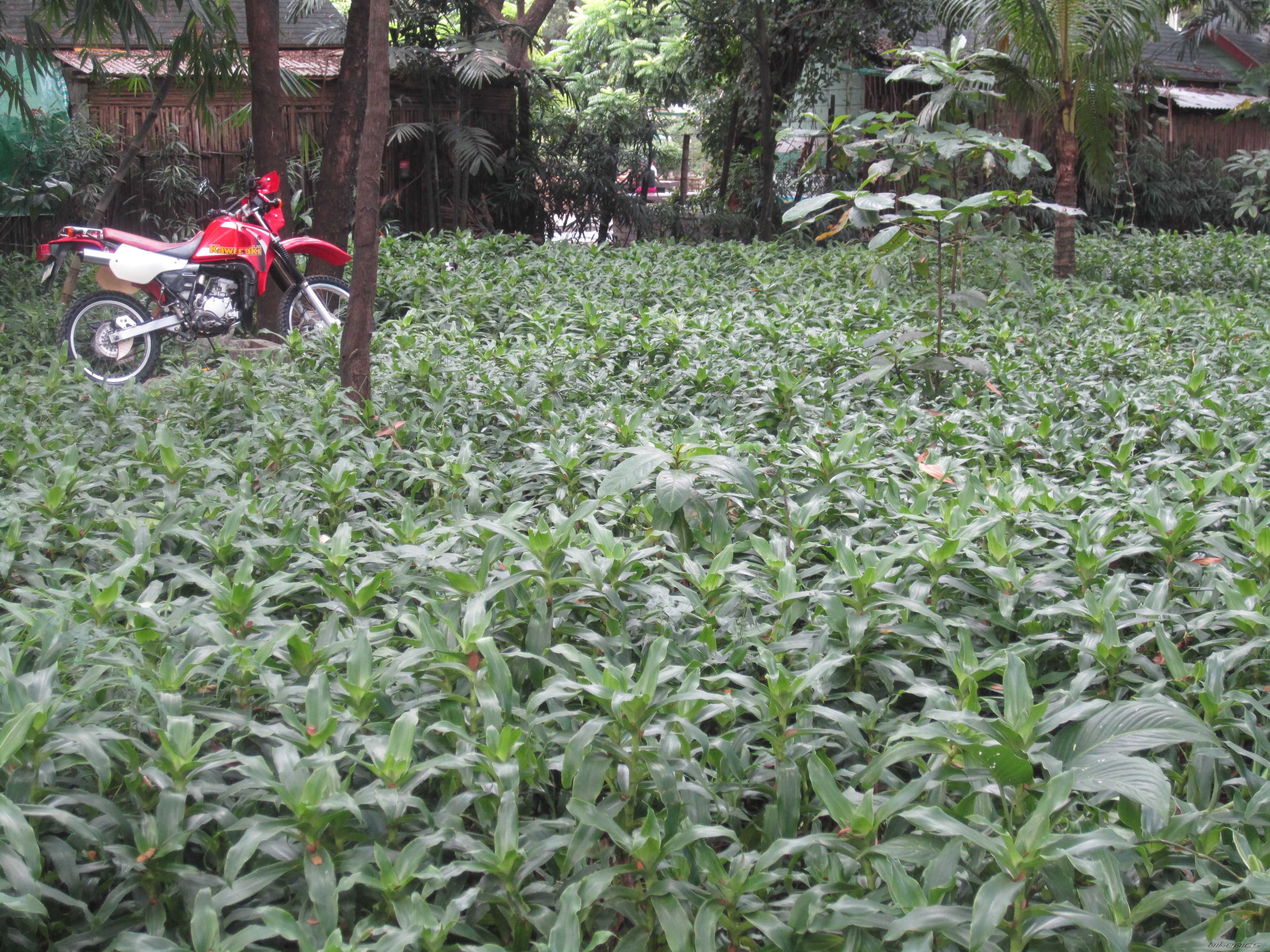 Photo 2484649