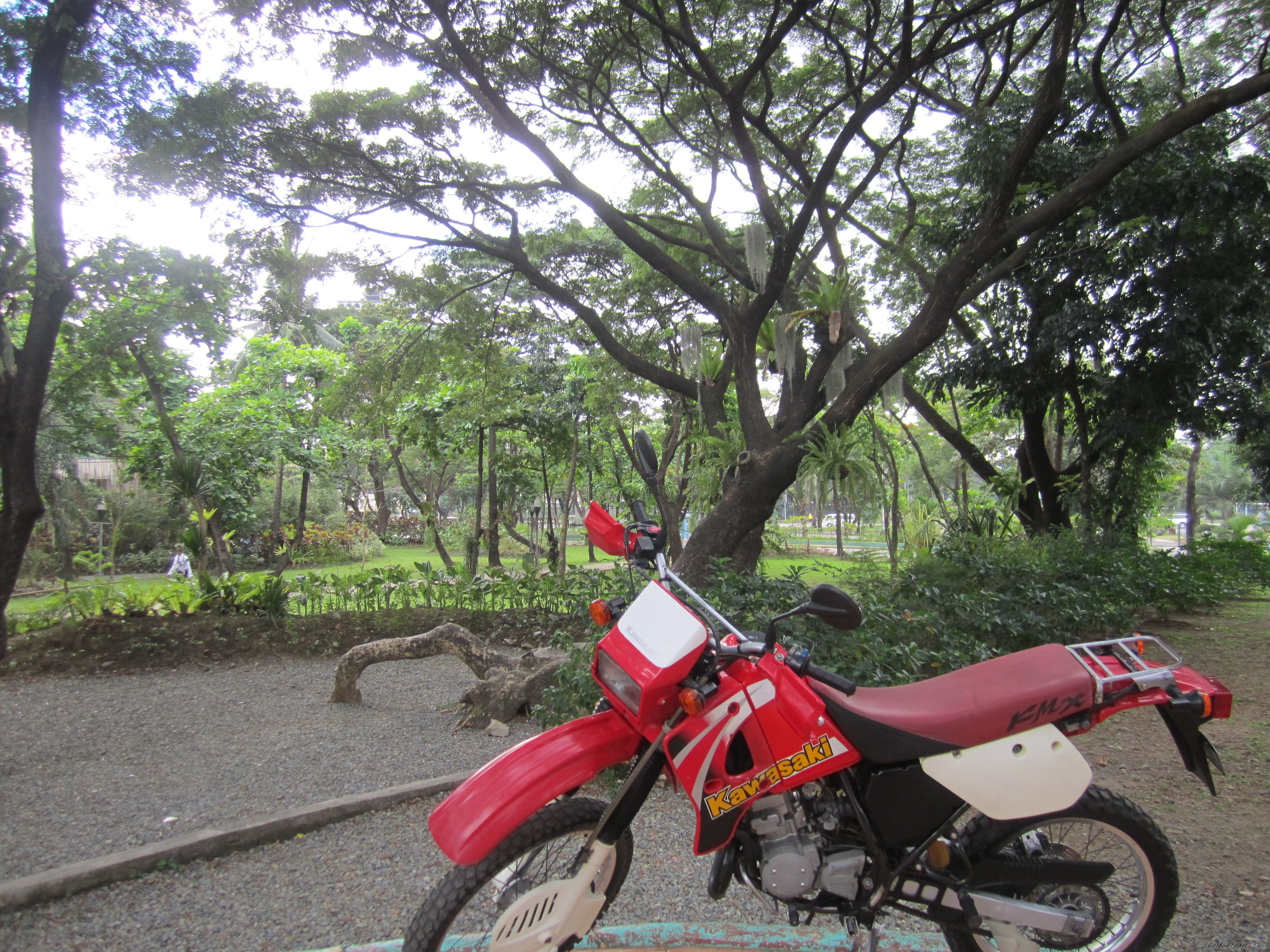 Photo 2484658
