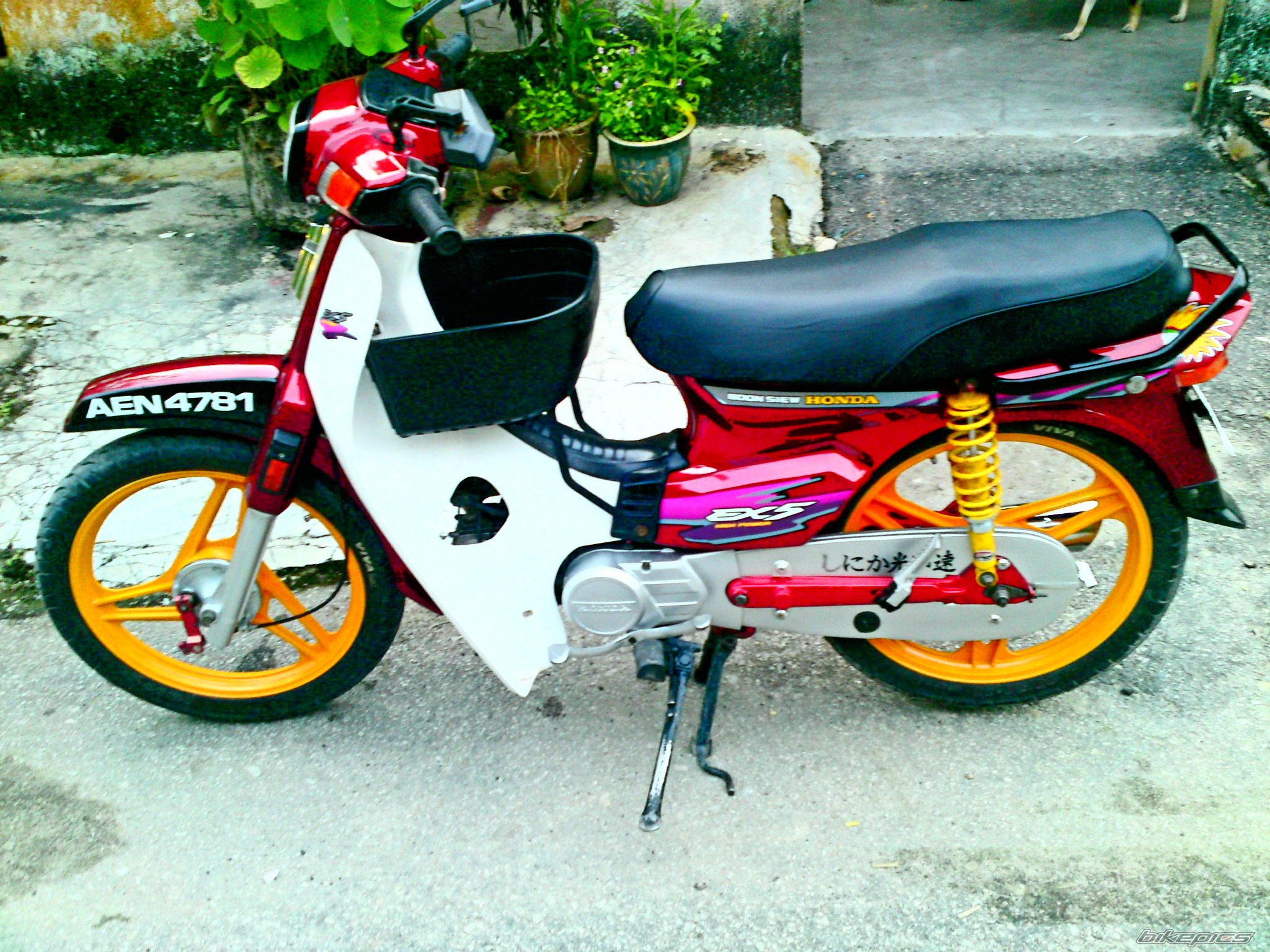 Photo 2484659