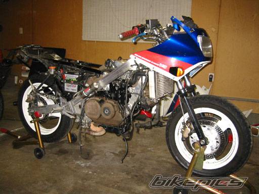 Photo 248466