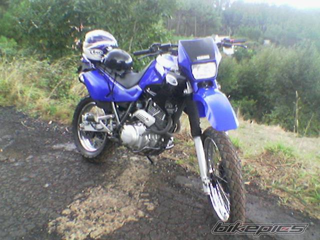 Photo 248467