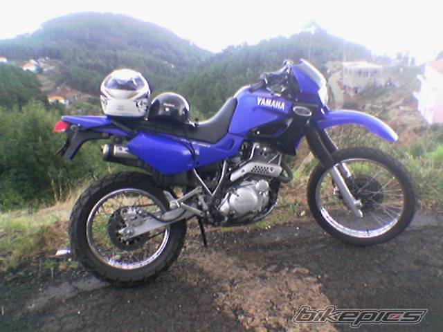 Photo 248468