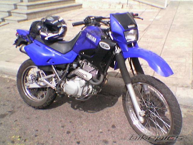 Photo 248469