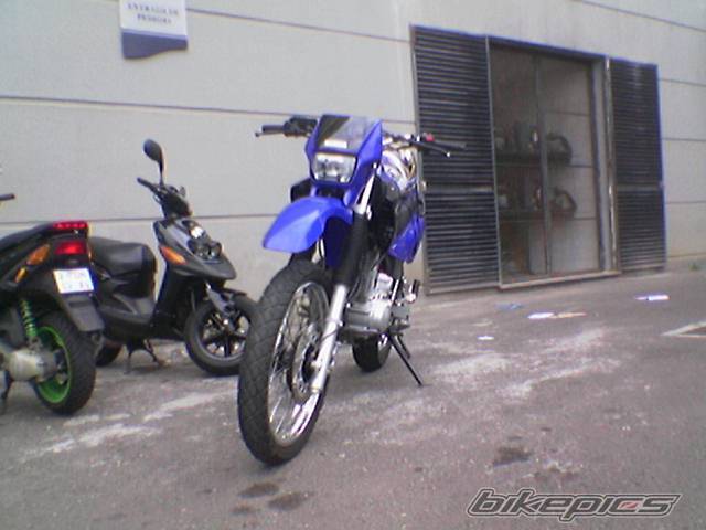 Photo 248470