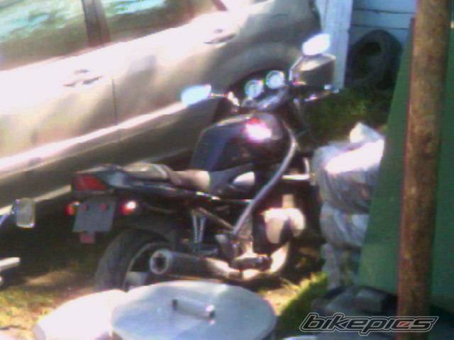 Photo 248476