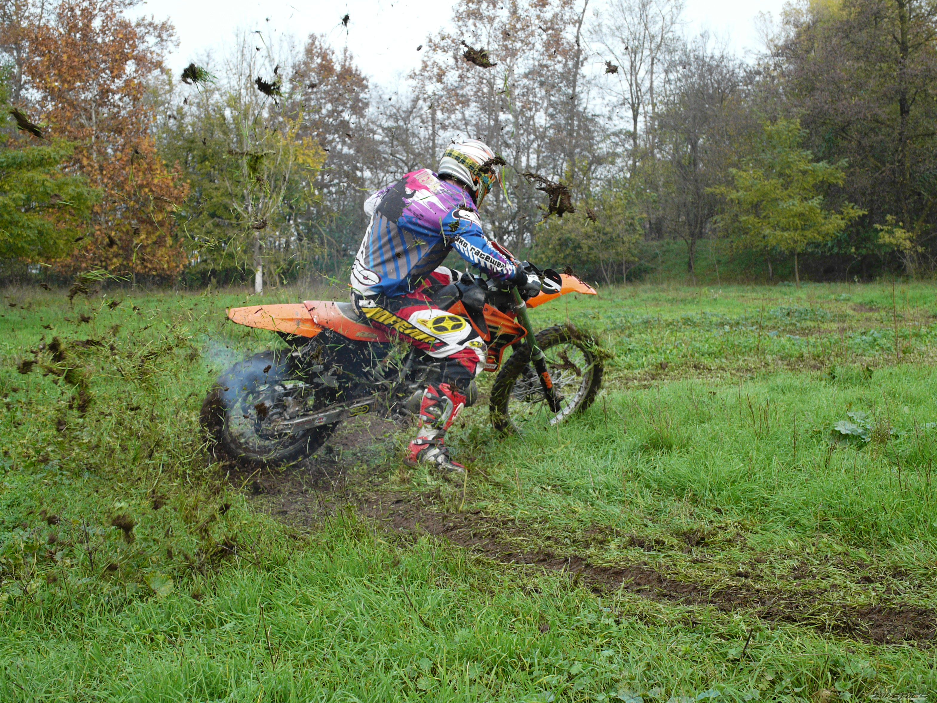 Photo 2484785