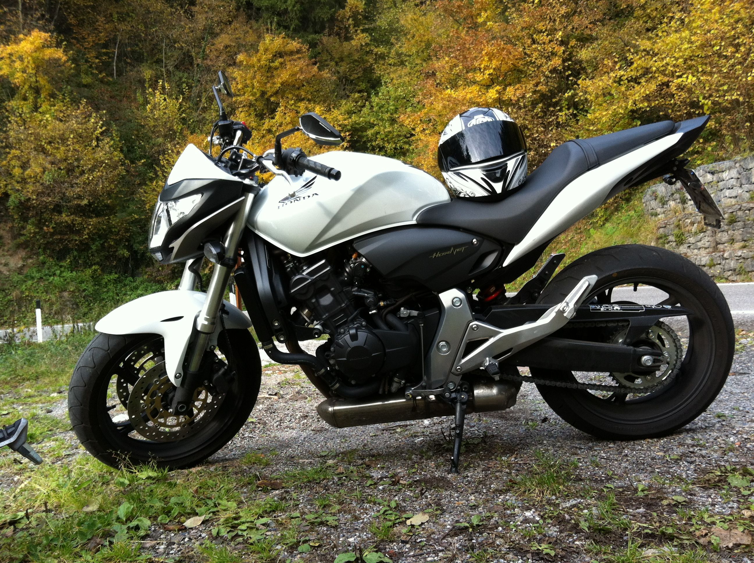 Photo 2484790